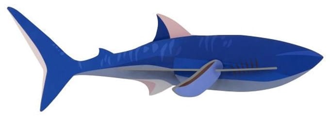 Zeedieren Klein - Haai