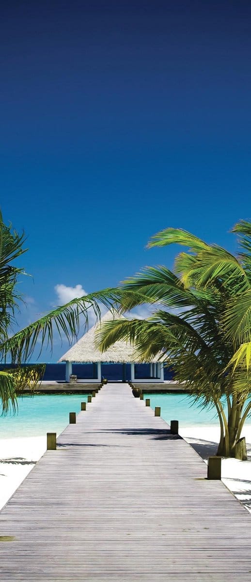 Beach Path Sea Sand Palms  Photo Wallcovering