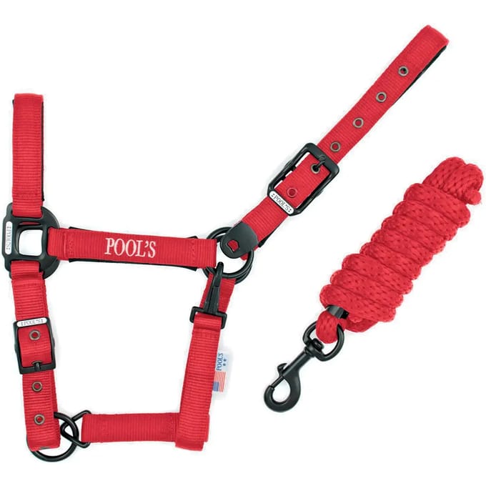 Nylon halster voor paard met leer Pool's