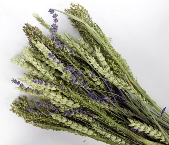Pet Bouquet koker Aves minor - Versnaperingen - Overig - Supplementen