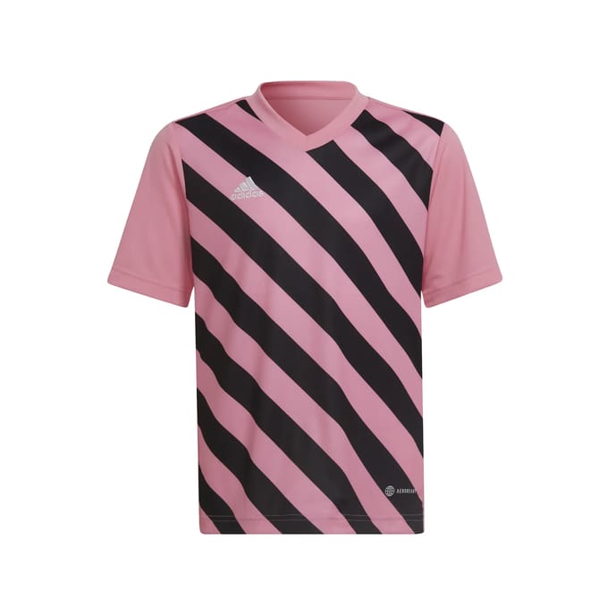 adidas Performance Entrada 22 Graphic Voetbalshirt - Kinderen - Roze- 116