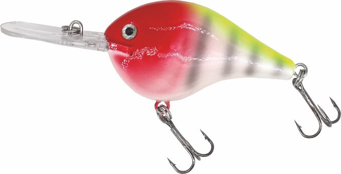 Albatros Catch21 Fat Belly Red Head