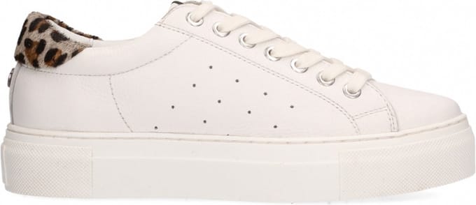 Maruti - Ted Sneakers - White - 36