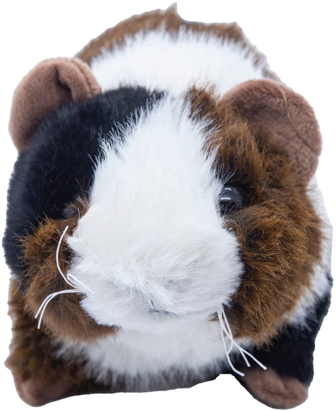 Cute since 1999 - Knuffel huiscavia - Knuffel speelgoed - Baby knuffel - 16cm