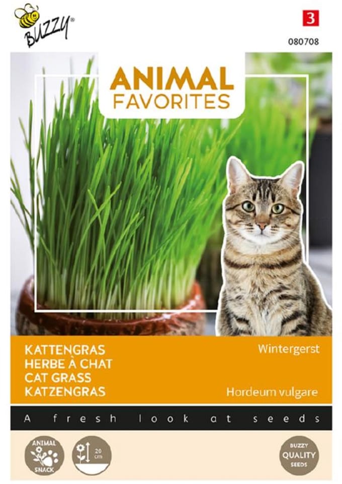 Kattengras - Wintergerst