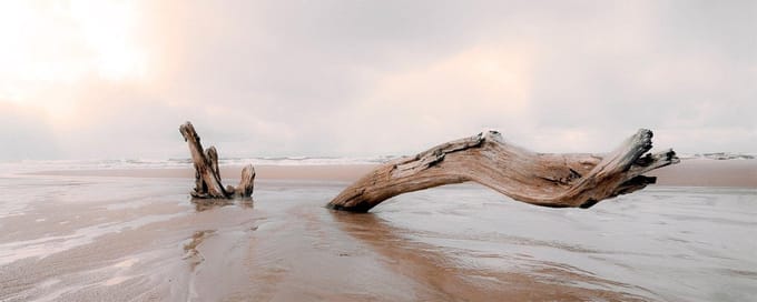 Art for the Home Drijfhout Canvas 40x100 cm