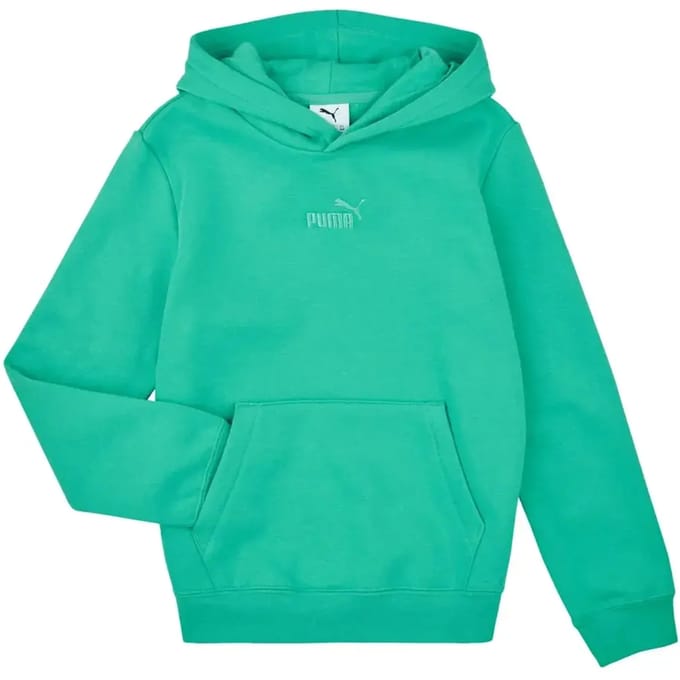 Junior Hoodie Puma ESS Small No.1 Logo