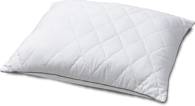 Dreamswan Premium Hoofdkussen - 60x70cm - Wit