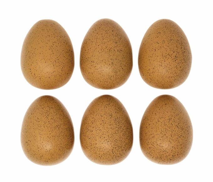 Yellow Door Sensory sound eggs