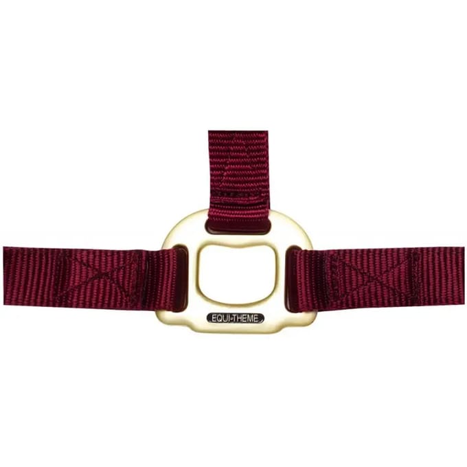 Halster voor paarden Equithème Nylon