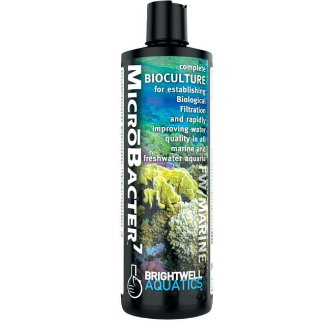 Brightwell Aquatics Microbacter7 250ml - Bactéries Nitrifiantes pour Aquarium Marin