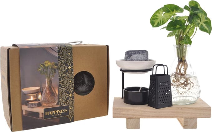Intenz Wellness Box | 25cm | Syngonium Pixie | Cadeau