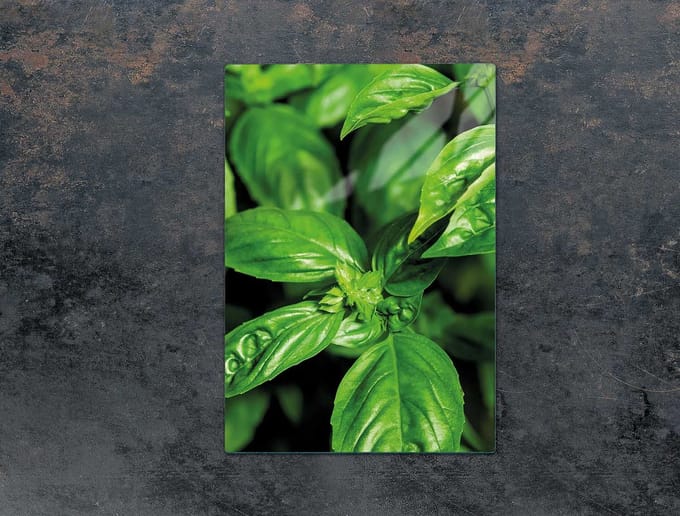 TMK ArtDeko - Snijplank Glas - 35x52cm - Basilicum - Beschermplaat
