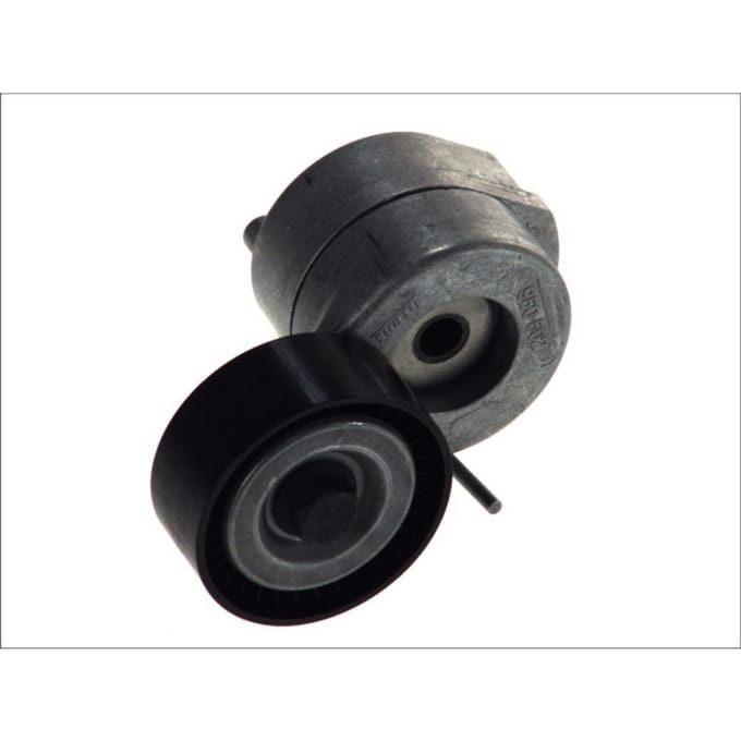 Schaeffler Ina Riemspanner, Poly V-riem INA 534 0053 10