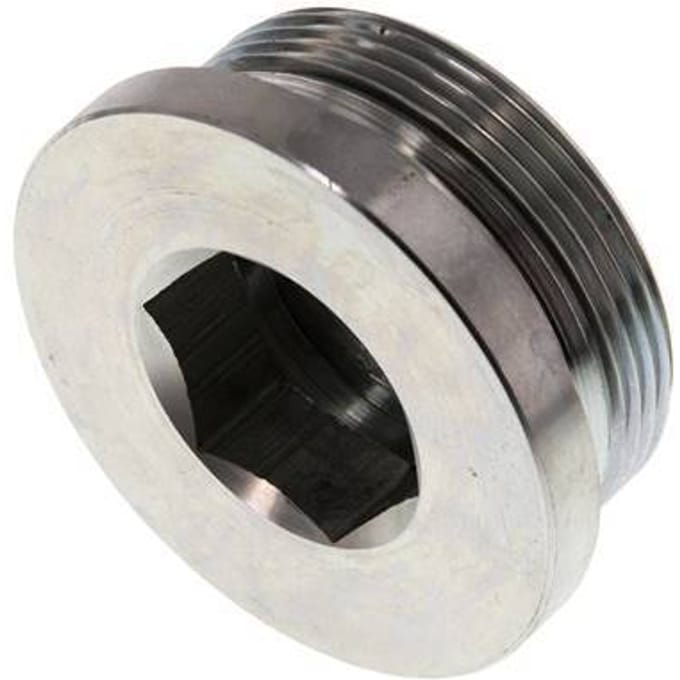 Plug M48 X 2 Staal NBR met binnenzeskant 250 bar (3512.5psi)