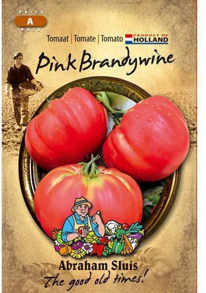 Sluis Garden - Tomaat Pink Brandywine