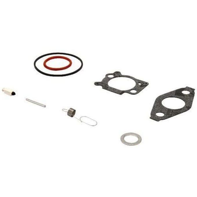 Briggs & stratton carburateur reparaties