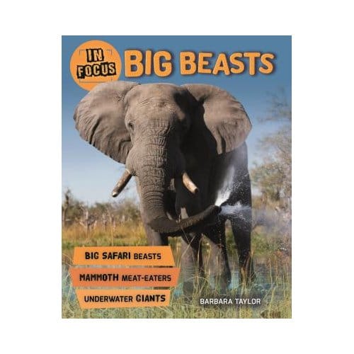 In Focus Big Beasts - BARBARA TAYLOR