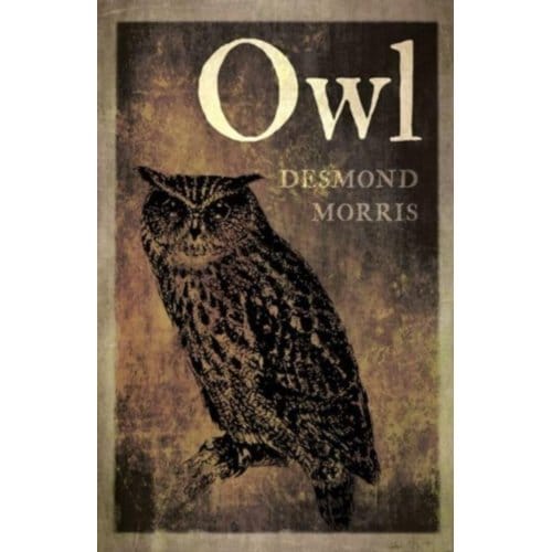 Owl - Desmond Morris