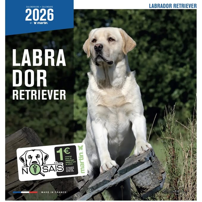 Kalender Martin Sellier Labrador