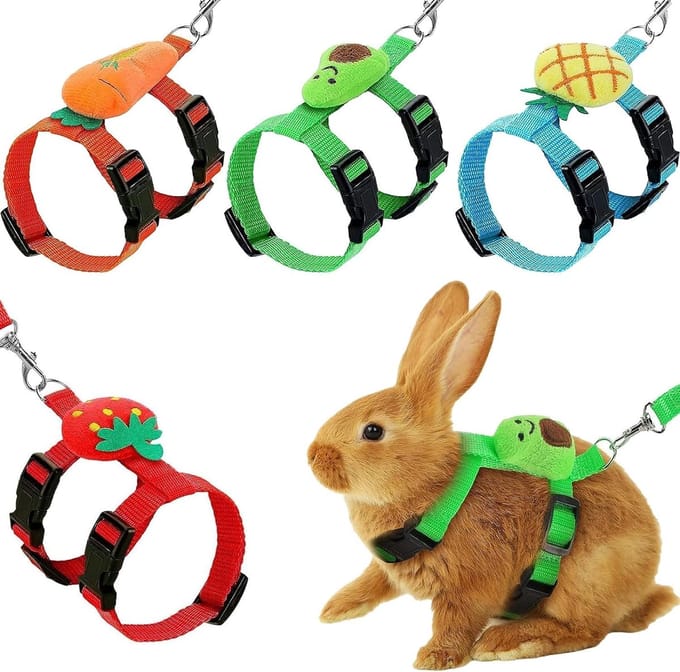 Set van 4 Verstelbare Konijnentuig en Leash voor Kleine Dieren