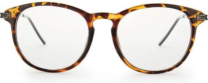 Nordic Vision leesbril Nassjo +2.50