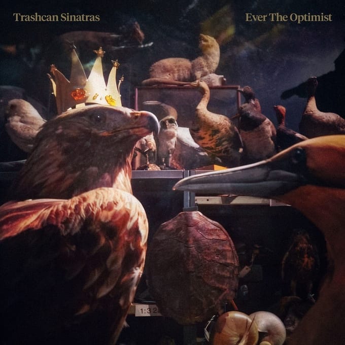 Trashcan Sinatras - Ever The Optimist (LP)