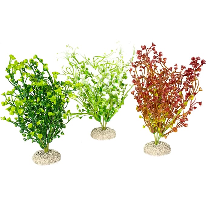 Aquarium planten decoratie Aqua Della Bacopa