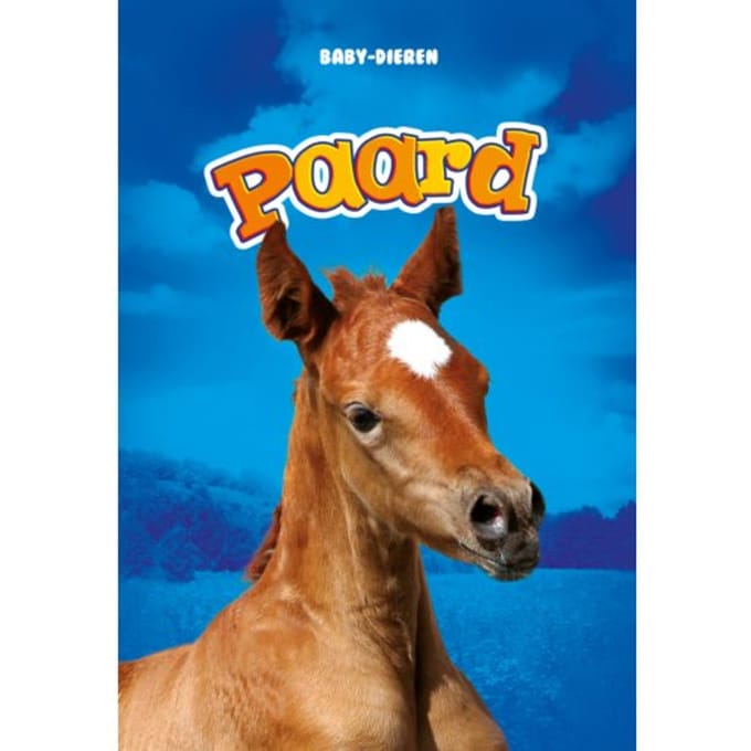 Paard - Baby-Dieren - Bethany Olson