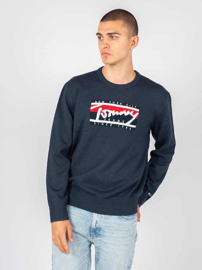 Tommy Jeans stoppen Mannen blauw