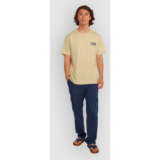 O'Neill Essentials Cargo Broek blauw