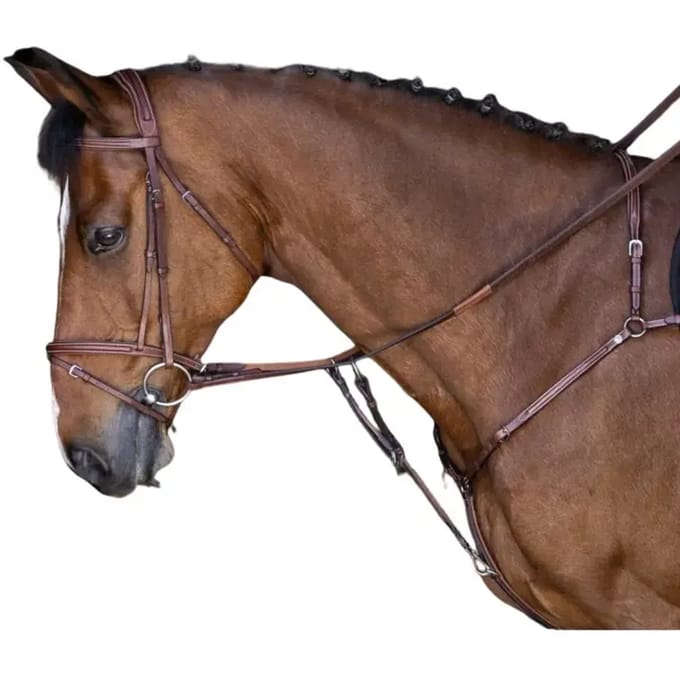 Pony jachthalsband Eric Thomas Hybrid