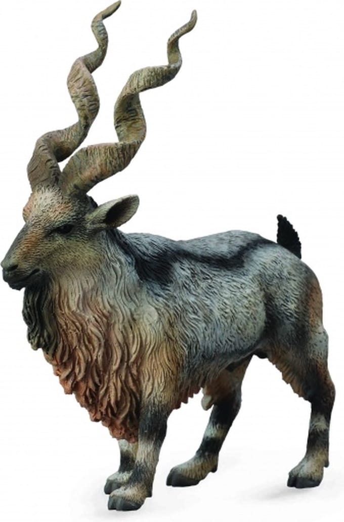 COLLECTA Figurine - Schroefhoorngeit - (L)