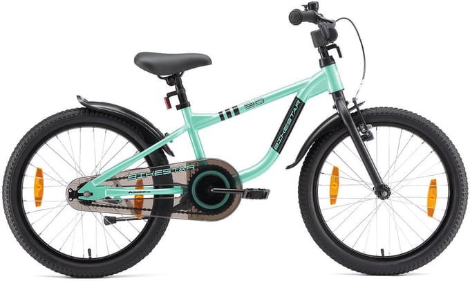 Löwenrad kinderfiets 20 inch wielen mintgroen