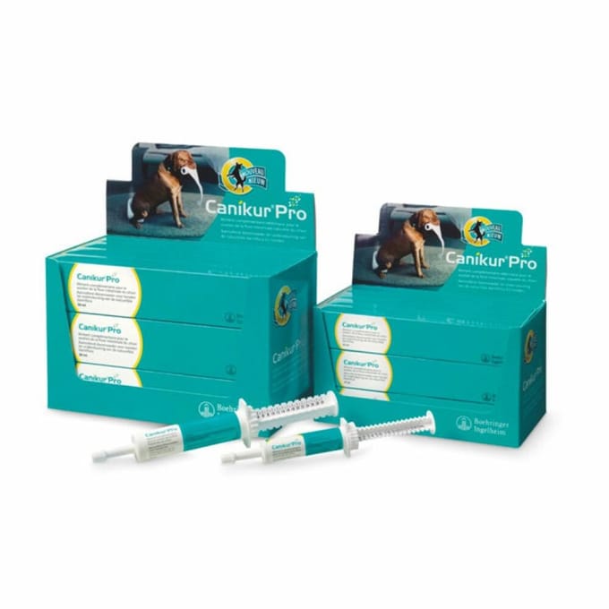 Boehringer Canikur Pro - Display 12 Spuiten Met 30ml