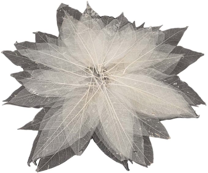 Lobbes magnolia bladskeletten creatief knutselen 50 stuks.