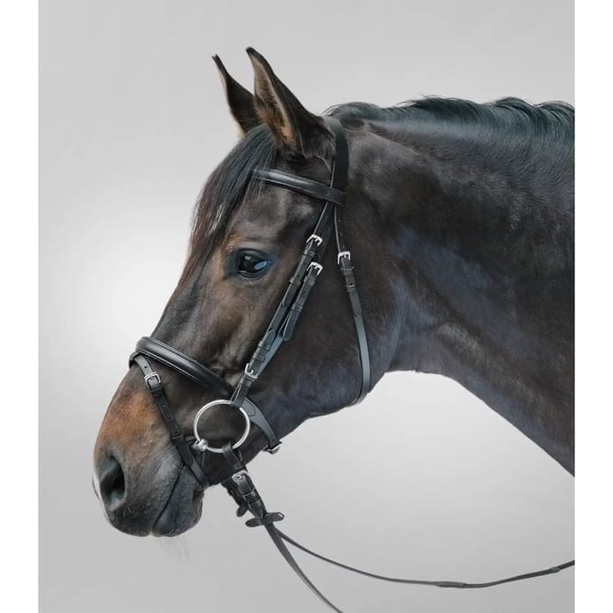 Combiné hoofdstel met neusriem Star Lifestyle