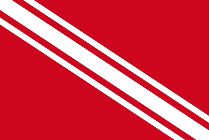Vlag Gedinne 100x150cm