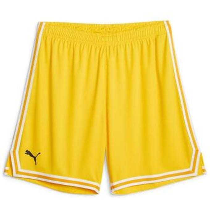 Korte Broek Puma Hoops Team Game Short