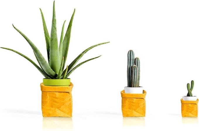 Pusher - COPRIVASO LARGE Passepartout Organizer en Bloempot