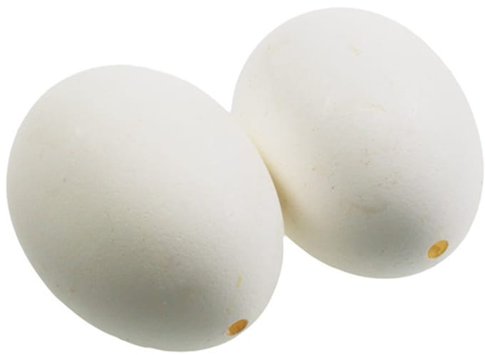 Witte kippeneieren, 10 stuks, 10 Stück