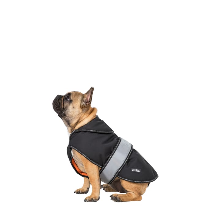 Trespass Softshell-hondenjas met Butch Touch-sluiting (Zwart)