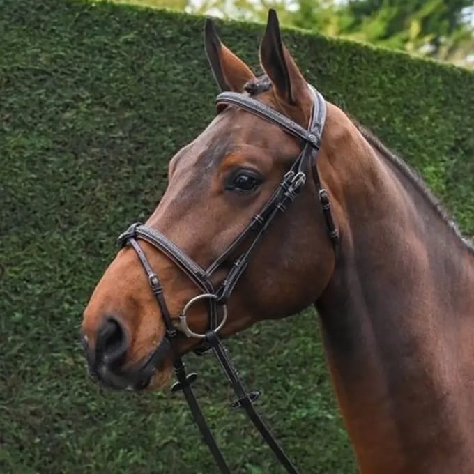 Gecombineerd hoofdstel met neusriem Jump'In Crystal Week