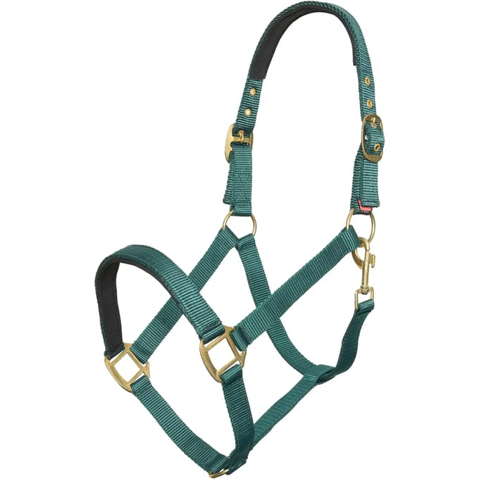 Imperial Riding - Halster - Classic Sport - Forest Green - Maat Cob