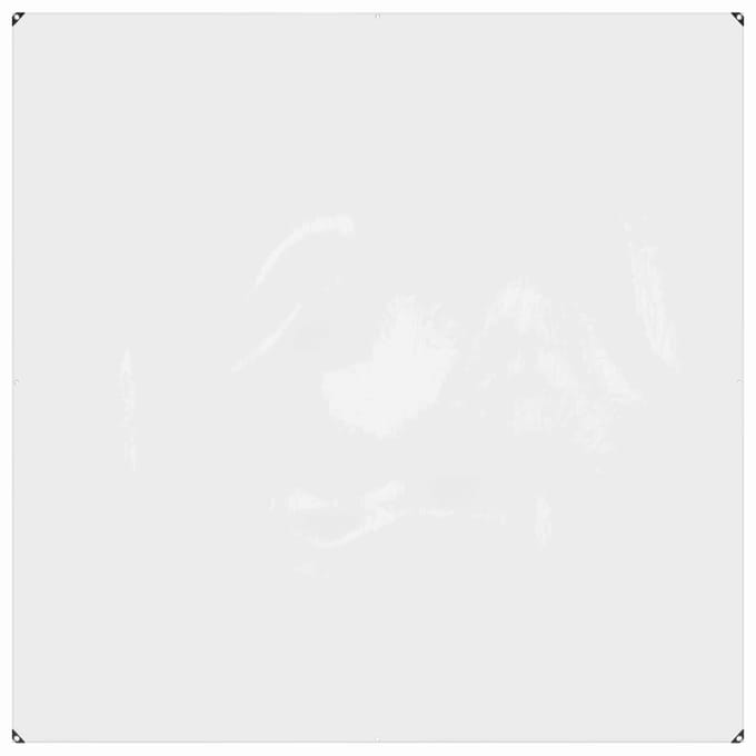 vidaXL - Plantenhoes - 2 - x - 2 - m - PVC - Transparant