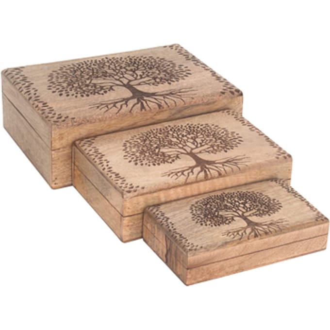 Manden en dozen Signes Grimalt Life Tree Boxes 3 U