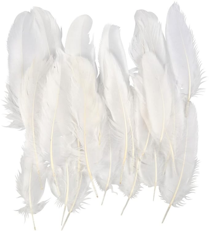 CC Ganzenveren 15 cm Wit 70 stuks