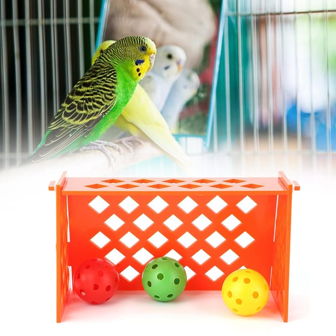 Perroquet de compagnie Mini Terrain de Football Oiseau Entraînement Bureau Éducatif Puzzle Intelligence
