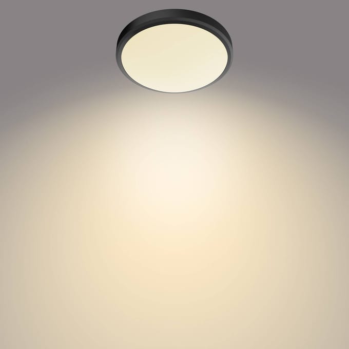 Philips Doris badkamer plafondlamp - zwart - groot - 17 W