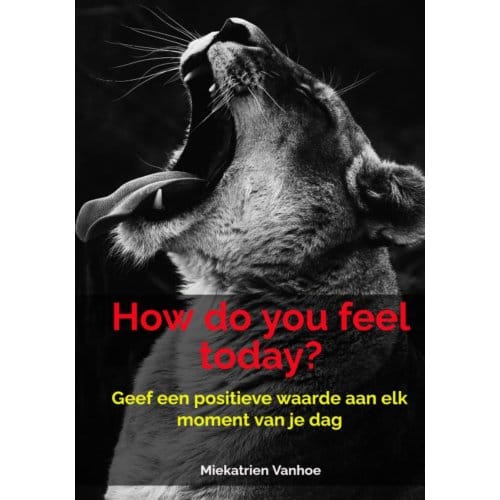 How Do You Feel Today? - Miekatrien Vanhoe